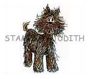 F-273 Sm. Hairy Pup